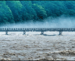 豪雨渡月橋嵐山氾濫水位